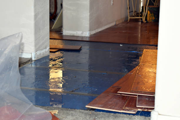 Professional Burst Pipe Cleanup technician working in Ryde, CA